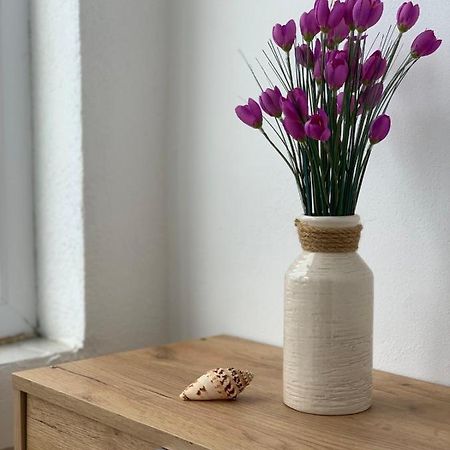 Apartman Dma Тиват Экстерьер фото